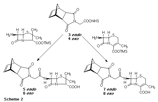 The synthesis of the endo isomers of the nucleic acid base (thymine or 