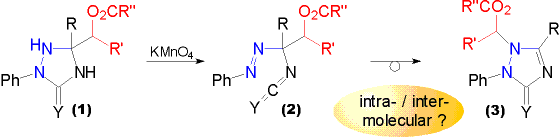 Oxidation of Acyloxytriazolidinones