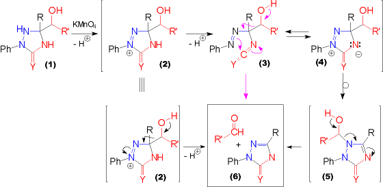 Oxidation of Hydroxytriazolidinones