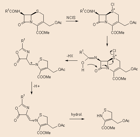 Mechanism of formation